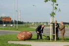 Autostrada Wolności fot. Łukasz Jóźwiak