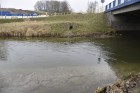 Łyna w Bartągu - widoczna mielizna na wewnętrznej stronie zakola rzeki-woda przejrzysta
