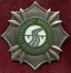 Odznaka „Przodujący Drogowiec”, w wersji srebrnej.