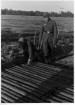 1940 r. Budowa drogi w Generalnej Guberni Żołnierz niemiecki pilnuje robotnika przy budowie drogi