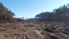 S19 odc. Zdziary - Rudnik nad Sanem